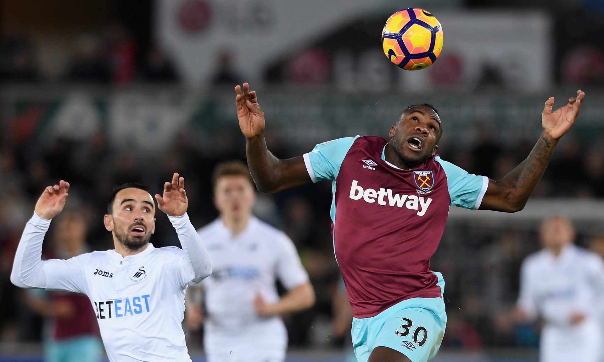 不仅收获了 不仅收获了